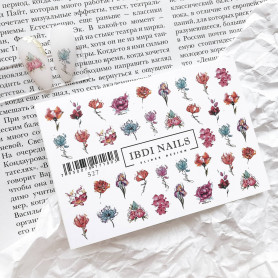 IBDI NAILS 527 2