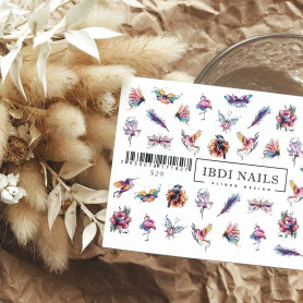 IBDI NAILS 529