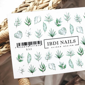IBDI NAILS 532