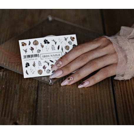 IBDI NAILS COLORFUL 65
