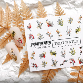 IBDI NAILS COLORFUL 71 2