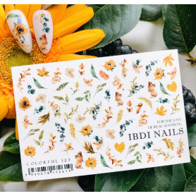 IBDI NAILS COLORFUL 123 2