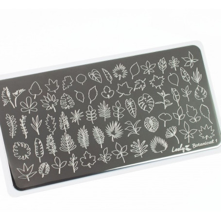 Schablone Botanical 1 Lesly
