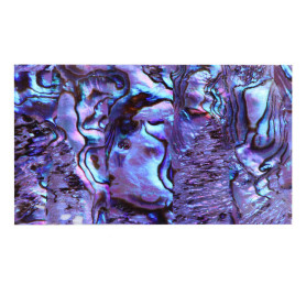 Muschel (seashell) violet 16 — Perlmutt Nailart