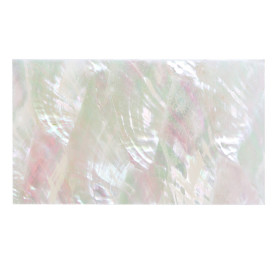 Muschel (seashell) opal 05 — Perlmutt Nailart