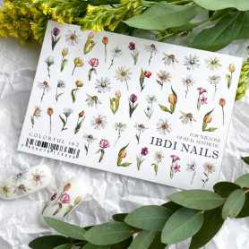 IBDI NAILS COLORFUL 162 2