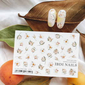 COLORFUL 171 IBDI NAILS 2