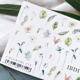 COLORFUL 174 IBDI NAILS