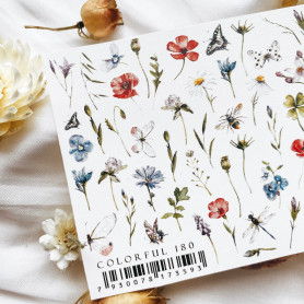 COLORFUL 180 IBDI NAILS