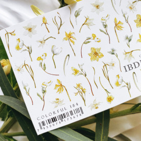 COLORFUL 184 IBDI NAILS