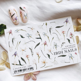 COLORFUL 186 IBDI NAILS 2