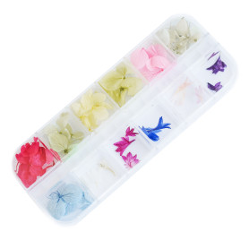 ECHTE TROCKENBLUMEN 12 Stück NailArt 2