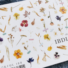 COLORFUL 188 IBDI NAILS