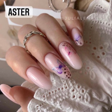 ASTER - FRAMEWORK GEL 30ml AMERICAN CREATOR