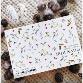 COLORFUL 195 IBDI NAILS 2