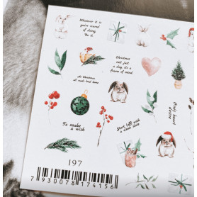 COLORFUL 197 IBDI NAILS