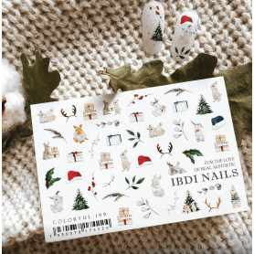 COLORFUL 199 IBDI NAILS 2