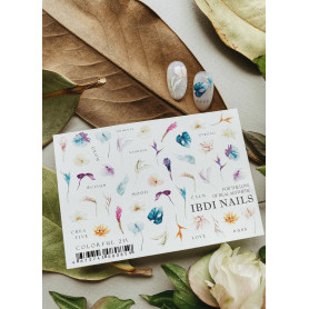COLORFUL 211 IBDI NAILS 2