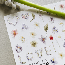 COLORFUL 213 IBDI NAILS 2