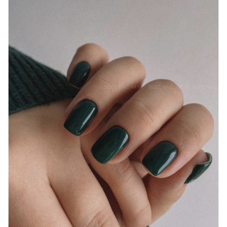 Iguana - Color Gel 15ml AMERICAN CREATOR