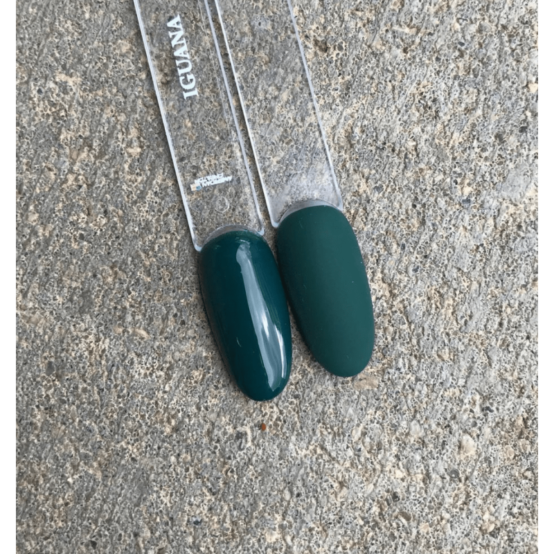 Iguana - Color Gel 15ml AMERICAN CREATOR-Online-Shop-Double Beauty Shop