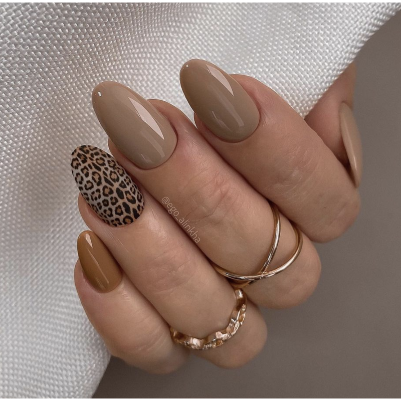 Zeal - Color Gel 15ml AMERICAN CREATOR-Online-Shop-Double Beauty Shop