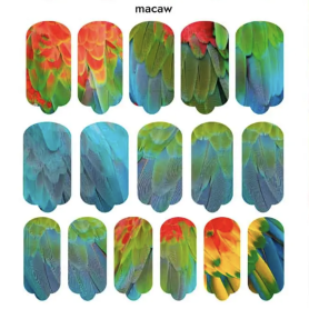 Nagelfolie Macaw - Nail Wraps by Provocative Nails 2