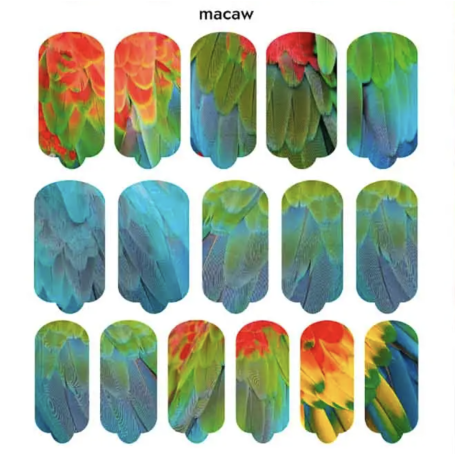 Nagelfolie Macaw - Nail Wraps by Provocative Nails