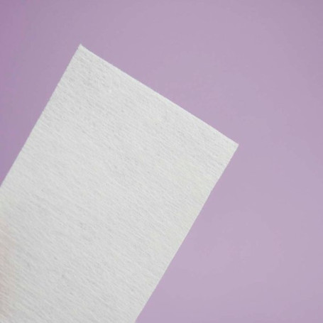 Nail Wipes Fusselfrei (450 stück)