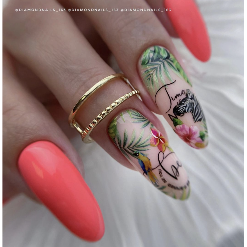 Tender - Color Gel 15ml AMERICAN CREATOR-Online-Shop-Double Beauty Shop