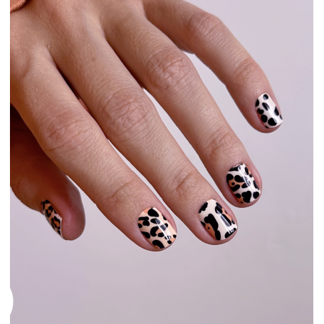 Nagelfolie Champagne leo - Nail Wraps by Provocative Nails