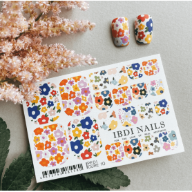 10 COLOR - FÜR PEDIKÜRE IBDI NAILS 2