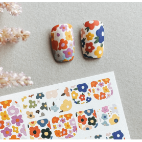 10 COLOR - FÜR PEDIKÜRE IBDI NAILS