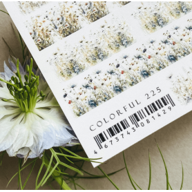 225 COLORFUL - IBDI NAILS