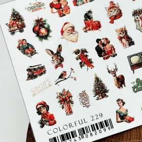 229 COLORFUL - IBDI NAILS