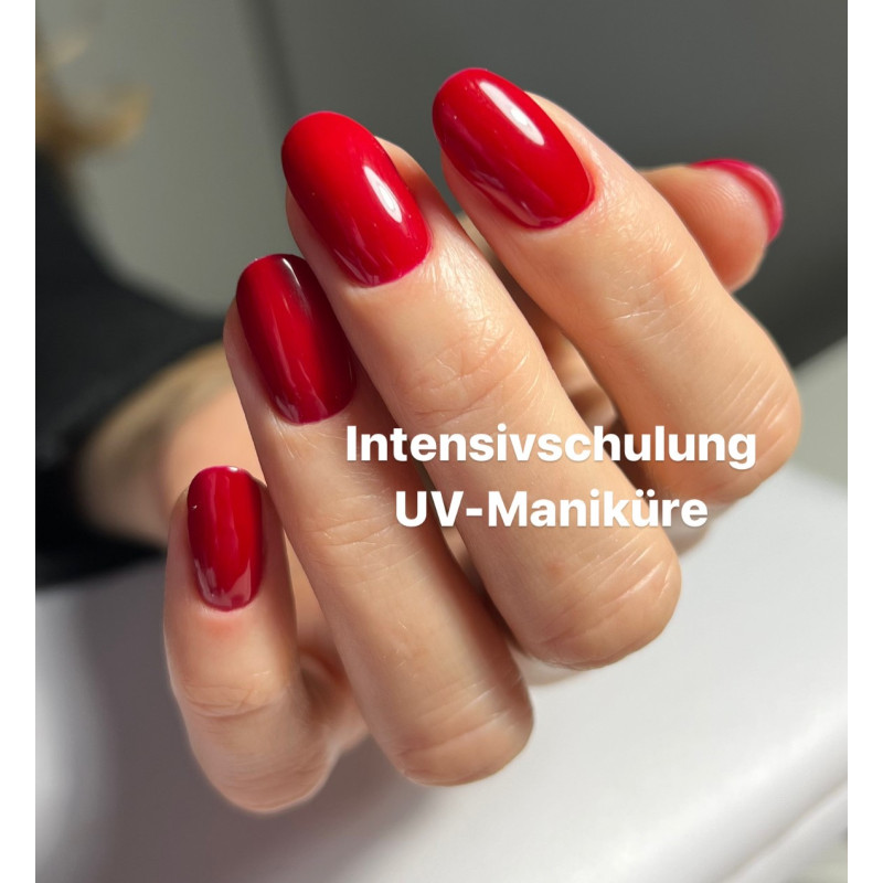 ONLINE Intensivschulung kombinierte russische UV-Maniküre"