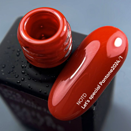 Pantone2024/1 - GEL POLISH 10ml NAILS OF THE DAY