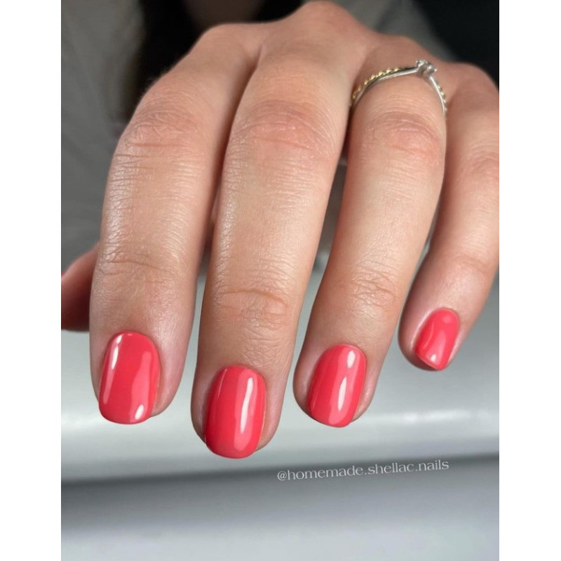 Wish - Color Gel 15ml AMERICAN CREATOR-Online-Shop-Double Beauty Shop