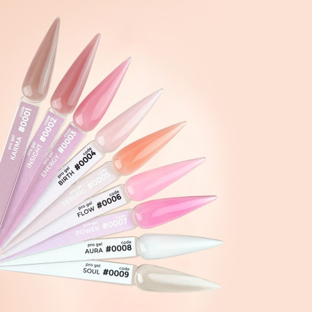 0005 Feeling - PRO GEL (Bottle Gel) 12ml DNKa