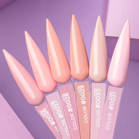 0027 - GEL POLISH 12ml DNKa