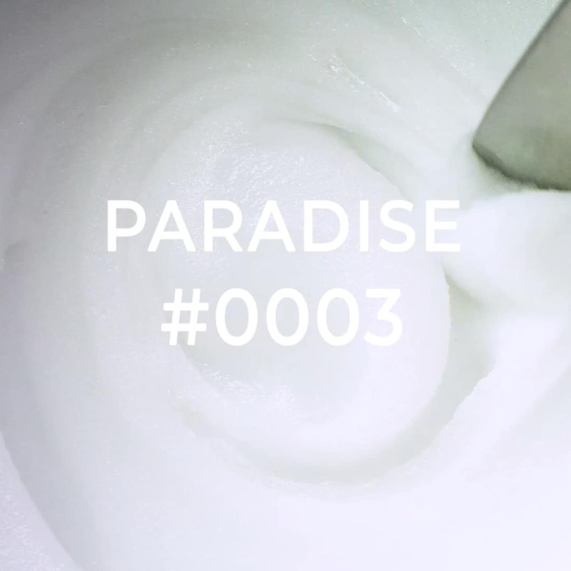 0003 Paradise - AcrylGel 30ml DNKa-Online-Shop-Double Beauty Shop