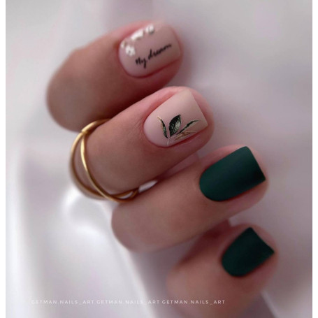 Iguana - Color Gel 15ml AMERICAN CREATOR