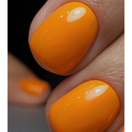 Prairie - Color Gel 15ml AMERICAN CREATOR