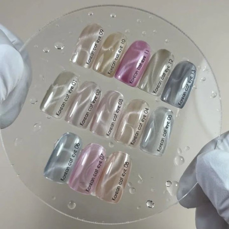 10 KOREAN CAT EYE - GEL POLISH 10ml NAILS OF THE DAY