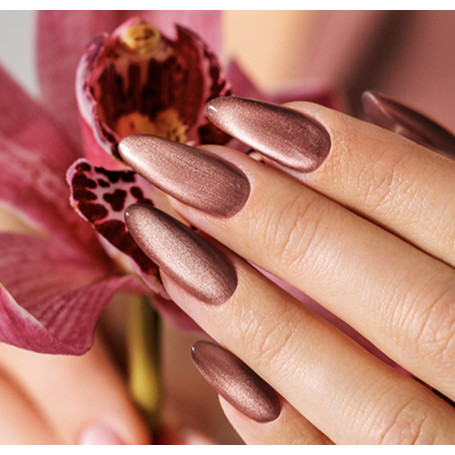 407 Hollynude - Cat Eye Gel polish 8ml VICTORIA VYNN