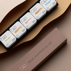 Solid Platinum Art Gel - Collection Set (5x5g) HEYLOVE 2