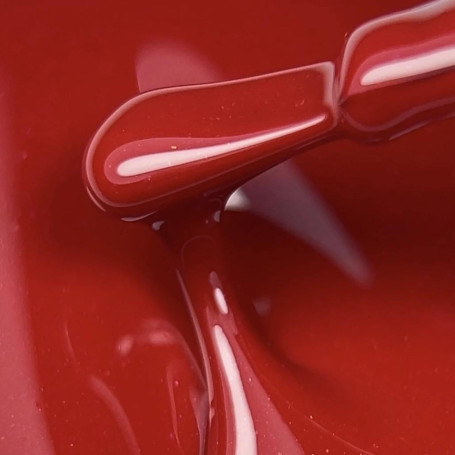 Kalyna - GEL POLISH 10ml NAILS OF THE DAY